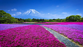 Asia, Landscape sky clouds, Beautiful landscapes, Mount Fuji HD wallpaper