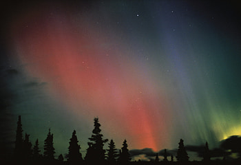 Aurora Borealis from a Train to Fairbanks, colors, alaska, sky, firs HD wallpaper