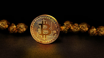 Bitcoin gold, High definition , Digital currency, Wealth concept HD wallpaper