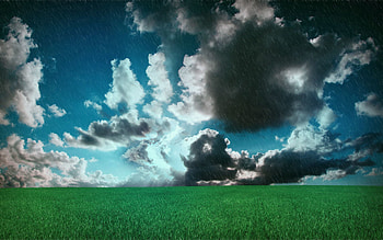 Nature, Rain, Clouds, Field, Meadow HD wallpaper