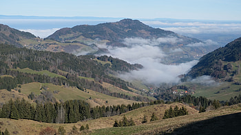 Trees Grass Field Hills Mountain Slope Forest With Fog Nature HD wallpaper