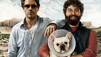 Due Date, , Background HD wallpaper