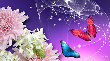 Bright Bright, stars, silk, summer, purple, butterflies, pink, fairy dust, bright, sprinkle, smoke, astor, dahlia, flowers HD wallpaper