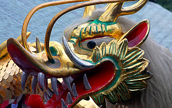 Tokyo Dragon, blue, red, dragon, tokyo, gold HD wallpaper