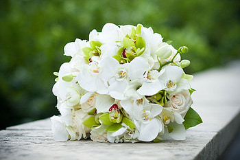 bouquet, white, flowers, nice HD wallpaper