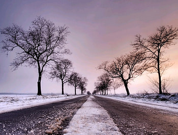 WARM and COLD, trees, sky, snow HD wallpaper