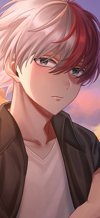 Shoto Todoroki: MHA Dual Ice & Fire , Shoto Todoroki, Anime, My Hero Academia HD phone wallpaper