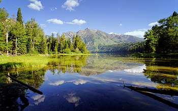 Landscape, Rivers, Trees HD wallpaper