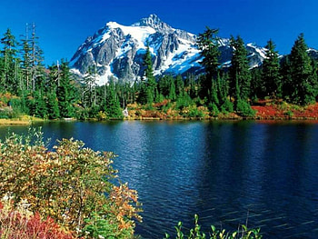 Landscape, Trees, Mountains, Lakes HD wallpaper