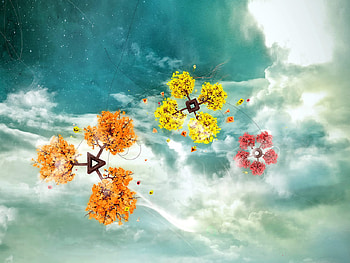 Flowers, digital, abstract, art, flower HD wallpaper