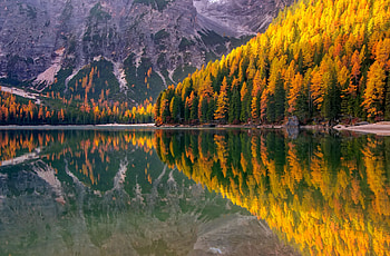 Amazing view of Braies Lake at autumn day, mountain, lake, serenity, tranquil, day, cliffs, reflection, autumn, view, trees, amazing, water, forest, Braies, south Tyrol, mirror, fall, Italy, rocks HD wallpaper