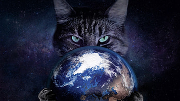 Cat holding the planet Earth, blue, eyes, cat, pisica, earth, creative, planet, fantasy, luminos, paw HD wallpaper