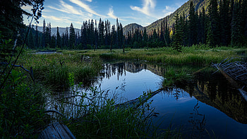 Lake in Alberta, Alberta, reflection, lake, mountain HD wallpaper
