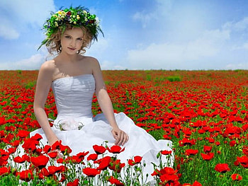 beauty, summer, poppy, field HD wallpaper