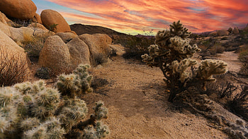 Sunset at Joshua Tree National Park, california, clouds, colors, sky, mountains, rocks, usa, stones HD wallpaper