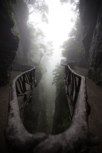 Zhangjiajie Travels, Zhangjiajie national forest park, Ideas, National forest HD phone wallpaper