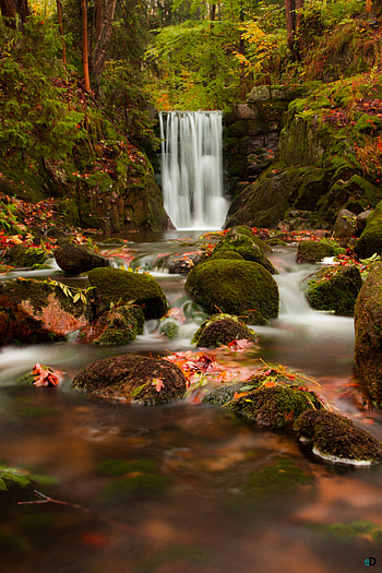 Nature, Stones, Autumn, Waterfall, Branches HD phone wallpaper
