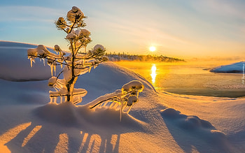 Winter Sun, sunshine, winter, snow, landscape, lake, tree HD wallpaper