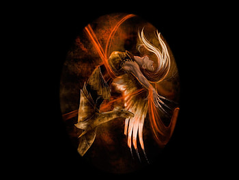 Angel, s, wings, fantasy HD wallpaper