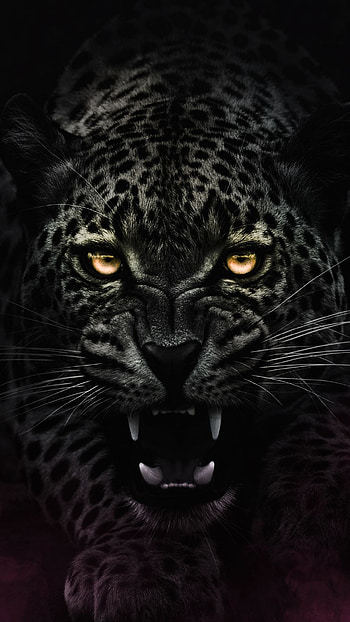 Angry, eye, leopard, dark, wild animal HD phone wallpaper