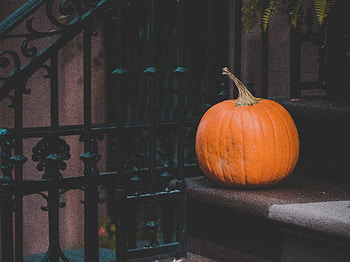 Food, Autumn, Pumpkin, Harvest HD wallpaper