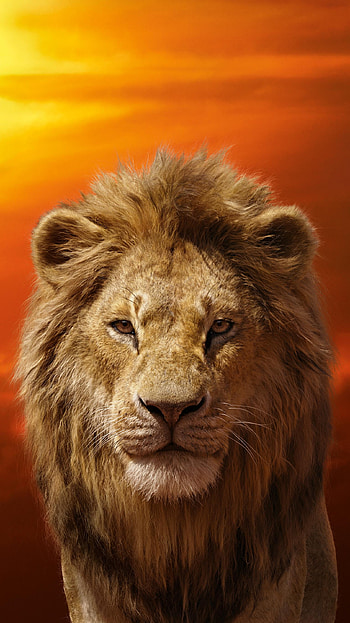 The Lion King (2022) movie HD phone wallpaper