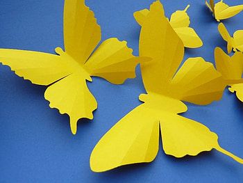 Yellow wings, butterflies, sunshine, wings, sunlight, yellow, just fly, forever HD wallpaper