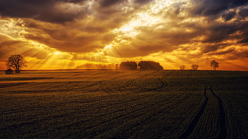 Dusk over the field, agricultural, farm, weather, rural, field, , clouds, nature, dramatic, sunset HD wallpaper