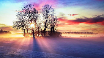 Misty Sunrise, winter, snow, trees, landscape, clouds, colors, sky HD wallpaper
