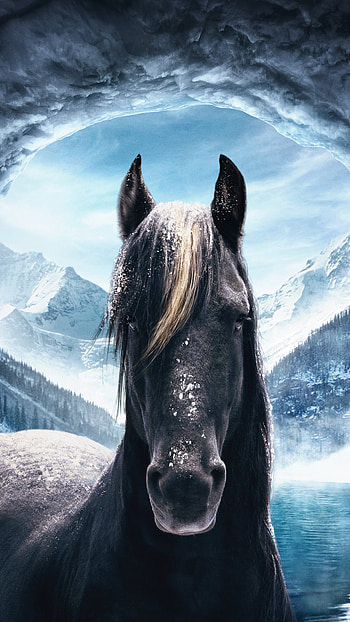 Horse, Farm Animals HD phone wallpaper