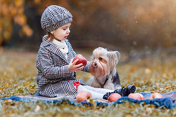 Cute little girl, Dog, Girl, Nature, Autumn, Baby HD wallpaper