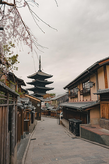 Kyoto, Spring in Kyoto, Cherry blossoms, Japanese culture HD phone wallpaper