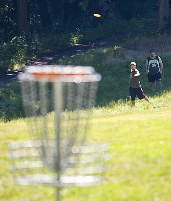 Disc golf, Flying Disc Sports HD phone wallpaper