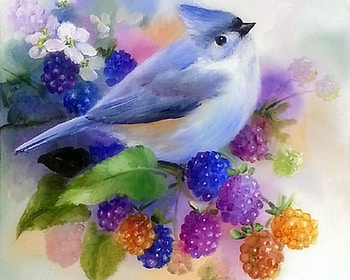 Blackberry Cascades, love four seasons, summer, birds, animals, blackberries, paintings, spring HD wallpaper