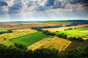 Bulgaria fields, graphy, green, bulgaria, fields, sky, beautiful, gold HD wallpaper
