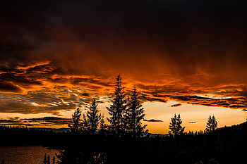 Nature, Trees, Sunset, Sky HD wallpaper