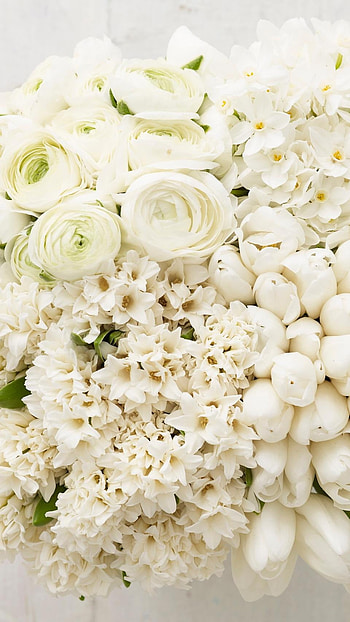 White Roses, Flowers HD phone wallpaper