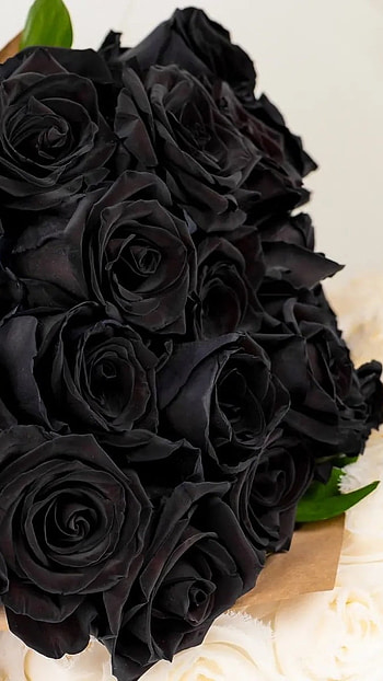 Black Flowers, Black Roses HD phone wallpaper