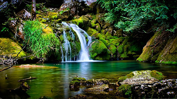 Waterfall in a forest, waterfall, cool, nature, water, forest, green emerald, graphy, plants, rocks, bauty, freshness, greenery HD wallpaper