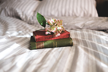 Flowers, Books, Miscellanea, Miscellaneous, Bed, Inspiration HD wallpaper