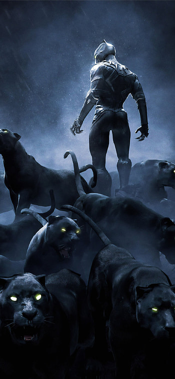 Black Panther Rise Up In Resolution , Black Panther Animal HD phone wallpaper
