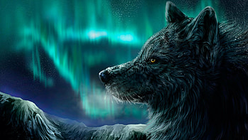 High-res wolf art, Hyper-realistic details, Stunning textures, Captivating presence HD wallpaper