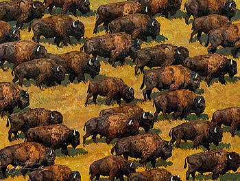 Bisons, art, view from the top, animal, bison, brown, fantasy, artem chebokha HD wallpaper