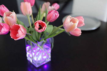 Tulips and pretty lights ~~, sunshine, entertainment, tulips, arrangement, purple, fashion, centerpiece, pretty, violet, lights, lavender, black table, soft pink, forever HD wallpaper