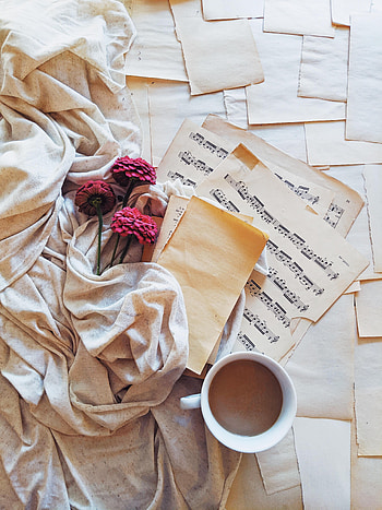 Music, Flowers, Miscellanea, Miscellaneous, Cup, Cloth, Notes HD phone wallpaper