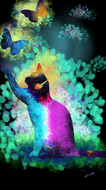 Cat_butterfly_galaxy, aqua, magenta, colour, color, butterfly, cat, colourful, turquoise, galaxy, cyan, colorful HD phone wallpaper