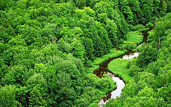 Backgrounds - forest green scenery landscape stream river awesome HD wallpaper
