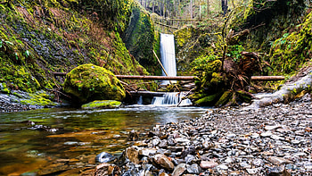 Wiesendanger Falls, also known as Upper Multnomah Falls, forest, oregon, usa, river, trees, stones HD wallpaper