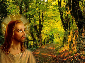 The Lord Jesus, god, path, fence3, jesus, christ, nature HD wallpaper