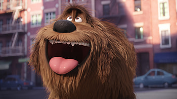 Duke Secret Life Of Pets, the-secret-life-of-pets, movies, animated-movies, 2016-movies, dog HD wallpaper